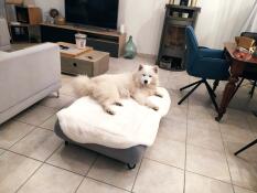 En stor hvid hund, der hviler på fåreskindstoppen i sin grå seng