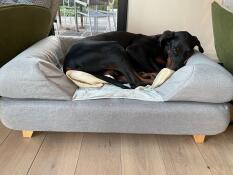 En hund, der sover på en seng med skumgummi med hukommelse