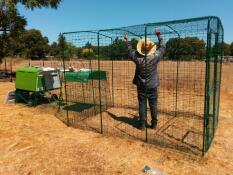 Mand opsætter Omlet hønsegård med Omlet grøn Eglu Cube stor hønsegård og løbegård
