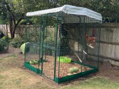 Doris og aggie i cluckingham palace