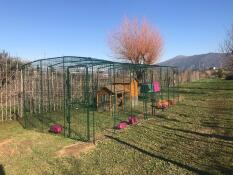 En stor løbegård med en hønsegård af træ indeni og foderautomat