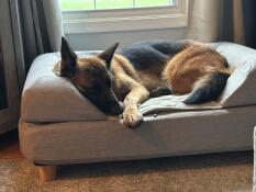 Bedste sted i huset