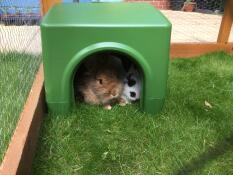 Perfekt skyggefuldt sted at snooze