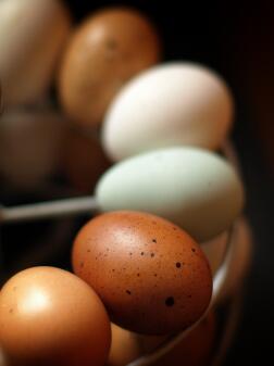 Farvede æg