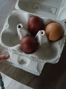 æg i æggebokse