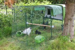 Omlet green Eglu Cube stor hønsegård og løbegård