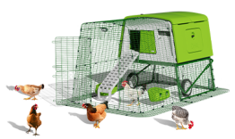 Eglu Cube hønsehus