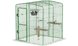 Gå i catio løb