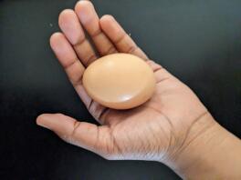 Moden rhode island red's egg.