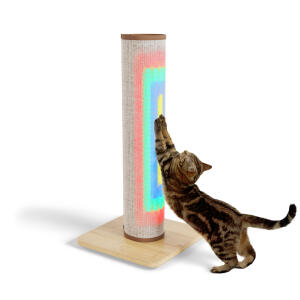 Switch Sisal kradsetræ til katte med lys - Cremefarvet