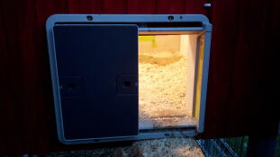 En Omlet automatisk døråbner med lys til at lede hønsene hjem!