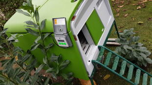 Omlet grøn Eglu Cube stor hønsegård med Omlet automatisk dør til hønsegård