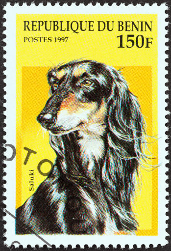 En afghansk jagthund på et vestafrikansk frimærke