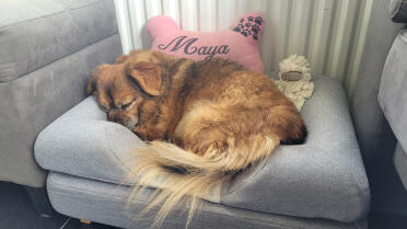 Maya sover vidunderligt 