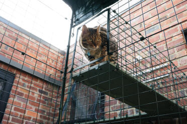 Tunnellerne er nemme at montere på din catio!