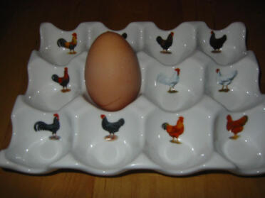 Allerførste æg, lagt af Florrie
