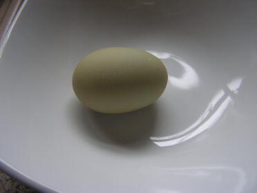Det første Bonny-grønne æg nogensinde.