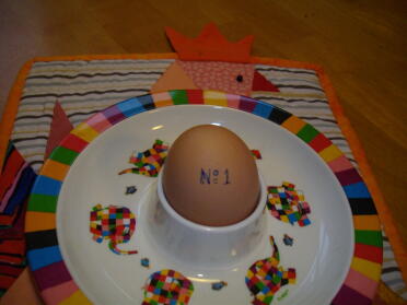 Det første æg fra Hannah eller Peppi!