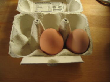 første æg!