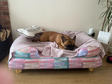 Belle elsker sin nye seng!