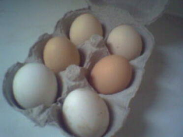 Friske æg, hvid - hvid stjerne, mørkebrun - sort stjerne, lysebrun - Pekin Bantam