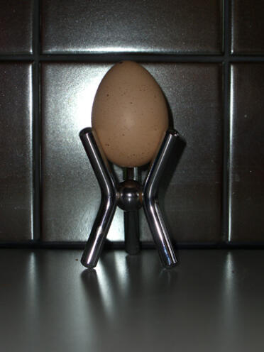 Vores første æg - Måske fra Bobbi?