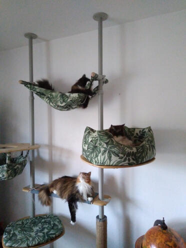 Sikke et fantastisk kradsetræ. mine katte elsker det.