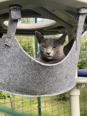 Hængekøje chill ripley