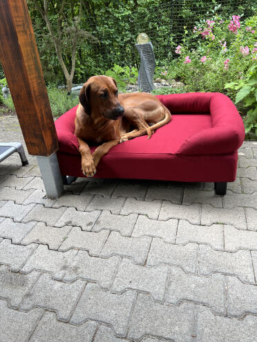 Fantastisk seng til vores bayo! fødderne blev leveret og monteret senere - alt var fantastisk! egen smarte sofa, Godt modtaget lige fra starten! yndlingssted at slappe af i stuen!