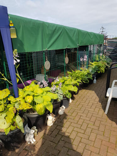 7x2x2 med Omlet covers