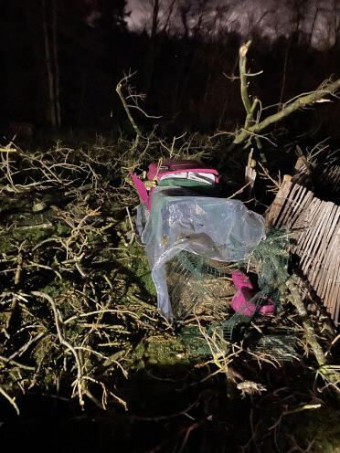 Eglu Cubevoldsom storm i belgien, men mine 5 damer overlevede takket være den fantastiske sturdy . af wendy