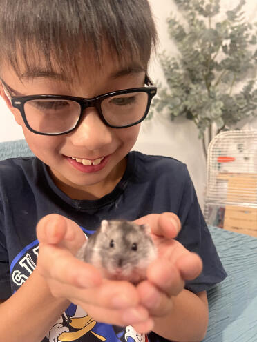 Både min hamster og mine børn elsker Omlet hamsterburet!