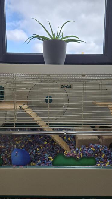 Vi har tilføjet ramper til vores hamsterbur, og vi elsker dem!