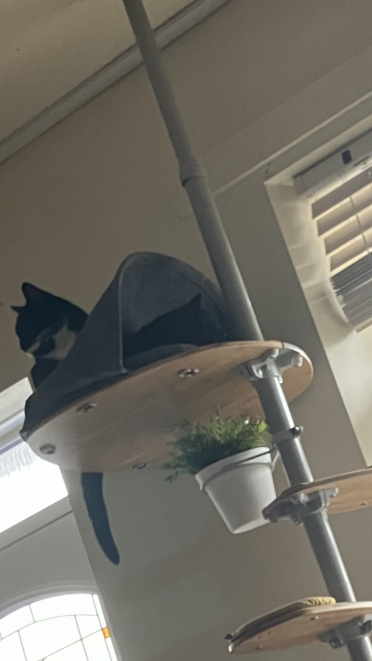 Det er sådan, jeg altid finder dem.