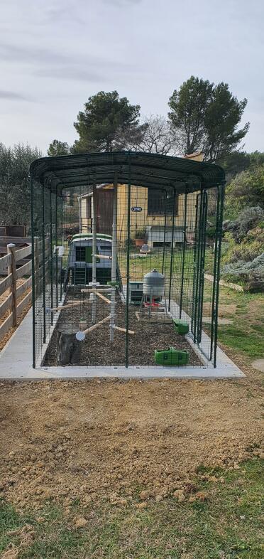 Hønsehus installeret på en betonkant, så det er nemt at slå græs uden at beskadige trådnettet