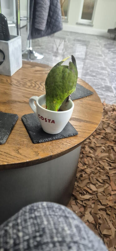 Holder kaffepause!
