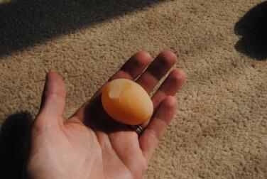En af mine høns første æg.