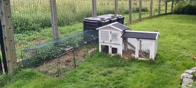 Et lavt kaninhegn i en have
