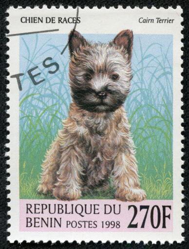 En cairn terrier på et vestafrikansk frimærke