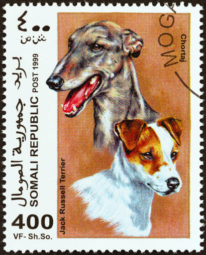 En jack russell terrier og en chortaj på et afrikansk frimærke