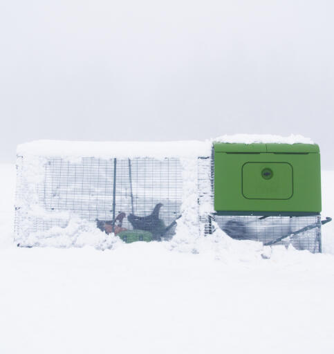Eglu Cube hønsehus i sne