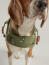 Beagle hund i joules olive bee vandafvisende frakke Beagle hund i joules olive bee vandafvisende frakke