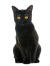 En sort, intens sort bombay-kat, der sidder ned