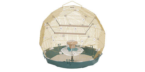 Omlet Geo fuglebur med Gold-bur og teal base