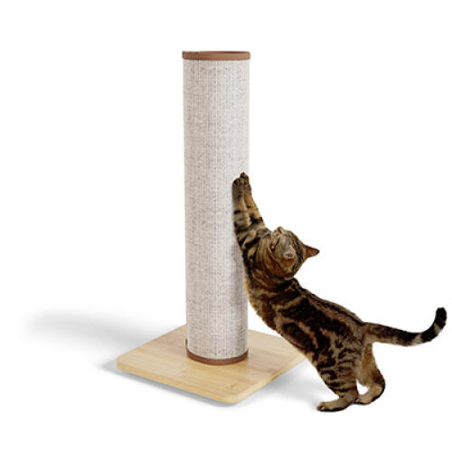 Switch sisal kradsetræ til katte - creme