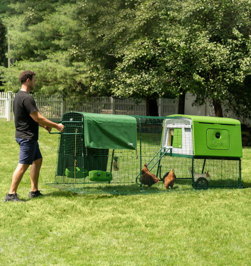 En mand flytter sit Eglu Cube hønsehus