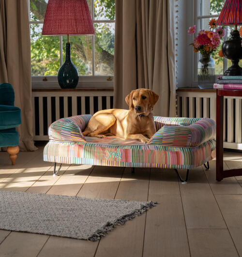 Labrador sidder på stor hundeseng med farverigt elektrisk tryk.