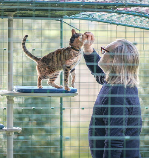 En mand tilbringer tid med sin kat på det udendørs Freestyle kattetræ.