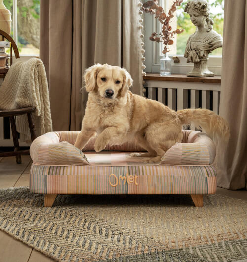Labrador, der hopper af hævet hundeseng i pawsteps natural print med firkantede træfødder.