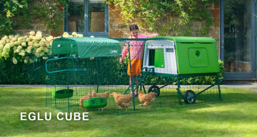 Eglu Cube hønsegård